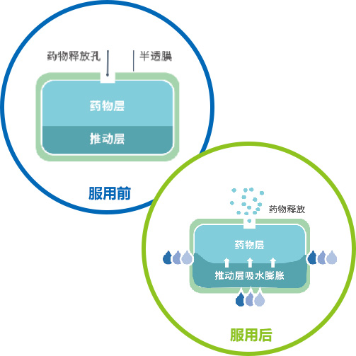 hth网页版在线登录
