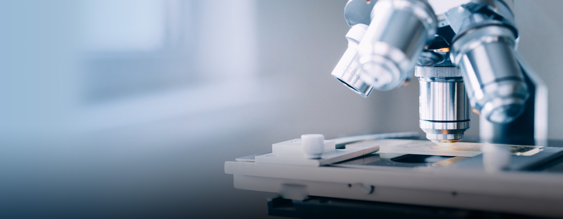 hth网页版在线登录