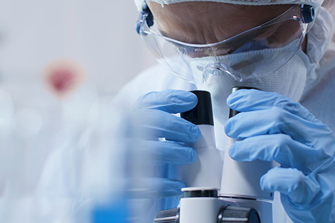 hth网页版在线登录